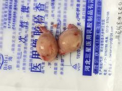 -乐宠动物医院