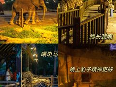 -上海野生动物园