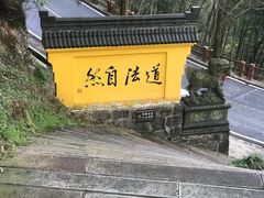 -九华山风景区