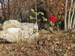 -春晖园度假酒店温泉