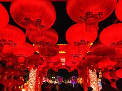 -南宫五洲植物乐园