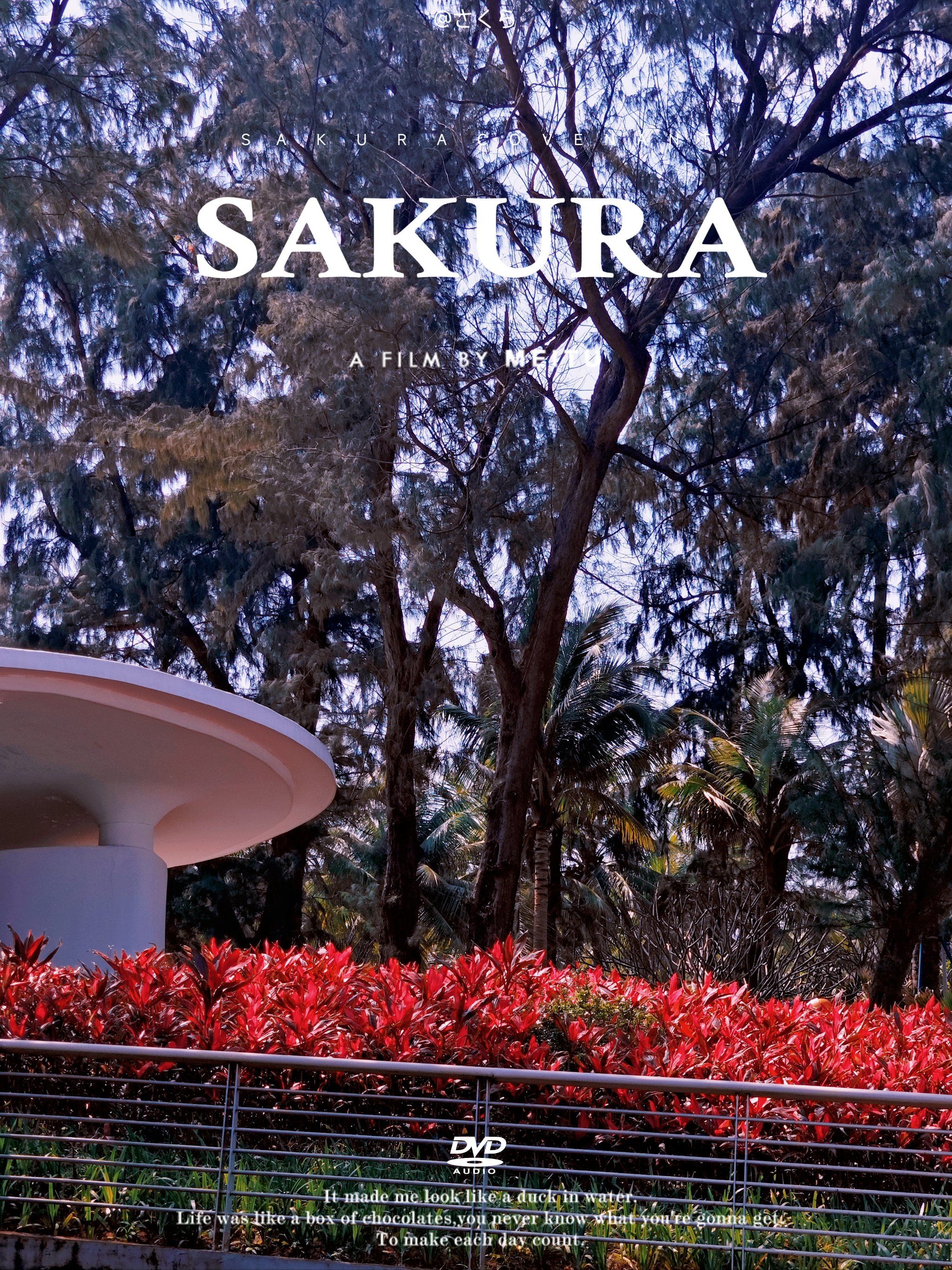 城市公园图鉴i99海口西海岸带状公园,城市中的绿色宝藏99