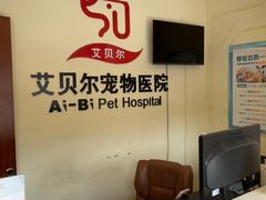 -艾贝尔宠物医院 ·内科全科(梁溪路店)
