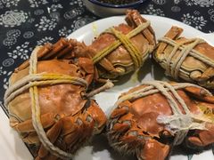 -阳澄湖半岛旅游度假区