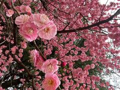 -白塘生态植物园