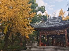 -汇龙潭