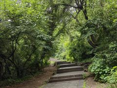 -大蜀山国家森林公园