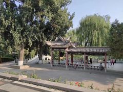 -迎泽公园