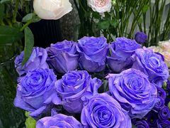 -Flower in(密渡桥店)