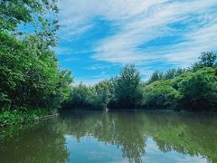 -溱湖国家湿地公园