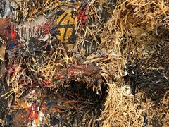 -旧金山现代艺术博物馆