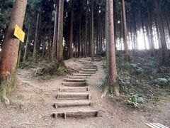 -杨记烧牛杂(蜀汉北街店)