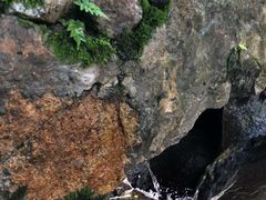 -秦岭终南山世界地质公园翠华山景区