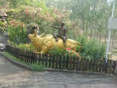 -合肥滨湖国家森林公园