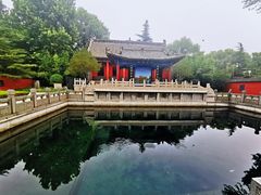 -百脉泉景区