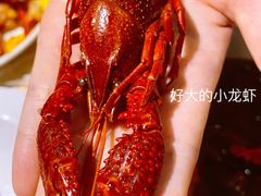 -霸王虾·小龙虾香辣蟹(玉林店)