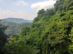 -广州市帽峰山景区