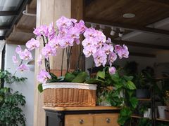 大堂-春暖花开(西溪店)