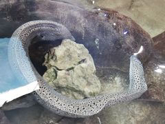 -鸿通城购物中心