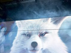 -天河体育中心