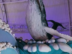 -烟台海昌鲸鲨海洋公园