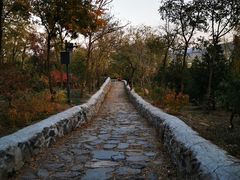 -阳台山自然风景区