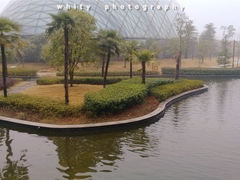 外景-洪湖悦兮半岛国际温泉度假村