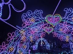 -南沙蒲洲花园