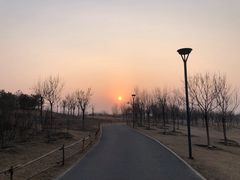 -马家湾湿地公园