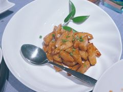 -梧桐