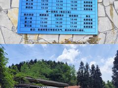 -贵州森林野生动物园