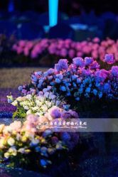 -上海绿地万豪酒店·大宴会厅