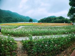 -广州市石门国家森林公园