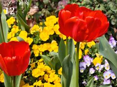 -静安公园(静安寺街道)