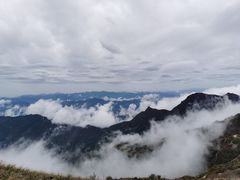 -白草畔自然风景区
