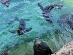 -珠海长隆海洋王国