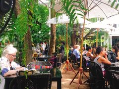 -Fern Forest Cafe