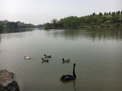 -上海怡沁园度假酒店
