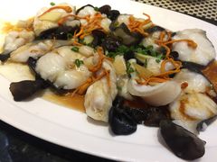虫草花蒸鮰鱼-新兴·金羊座·粤菜点心(乐峰店)