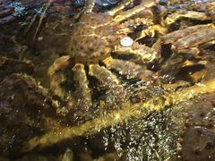 -蟹之国·精品蟹料理(极地店)