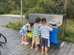 -昆山城市生态森林公园