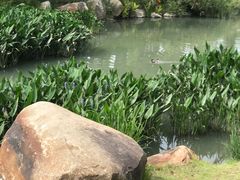 -牛岗山公园