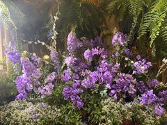 -Lamant Manor已闻花名关於蓝