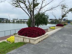 -羊山湖公园