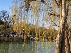 -扬州大运河文化旅游度假区·盆景园