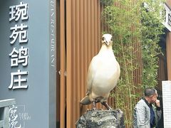 -琬苑鸽庄·川粤融合菜(解放碑总店)