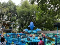 -运河游船(武林门码头)