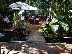 -Fern Forest Cafe