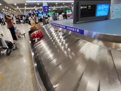 -合肥新桥国际机场-航站楼