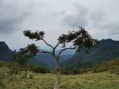-秦岭风景区